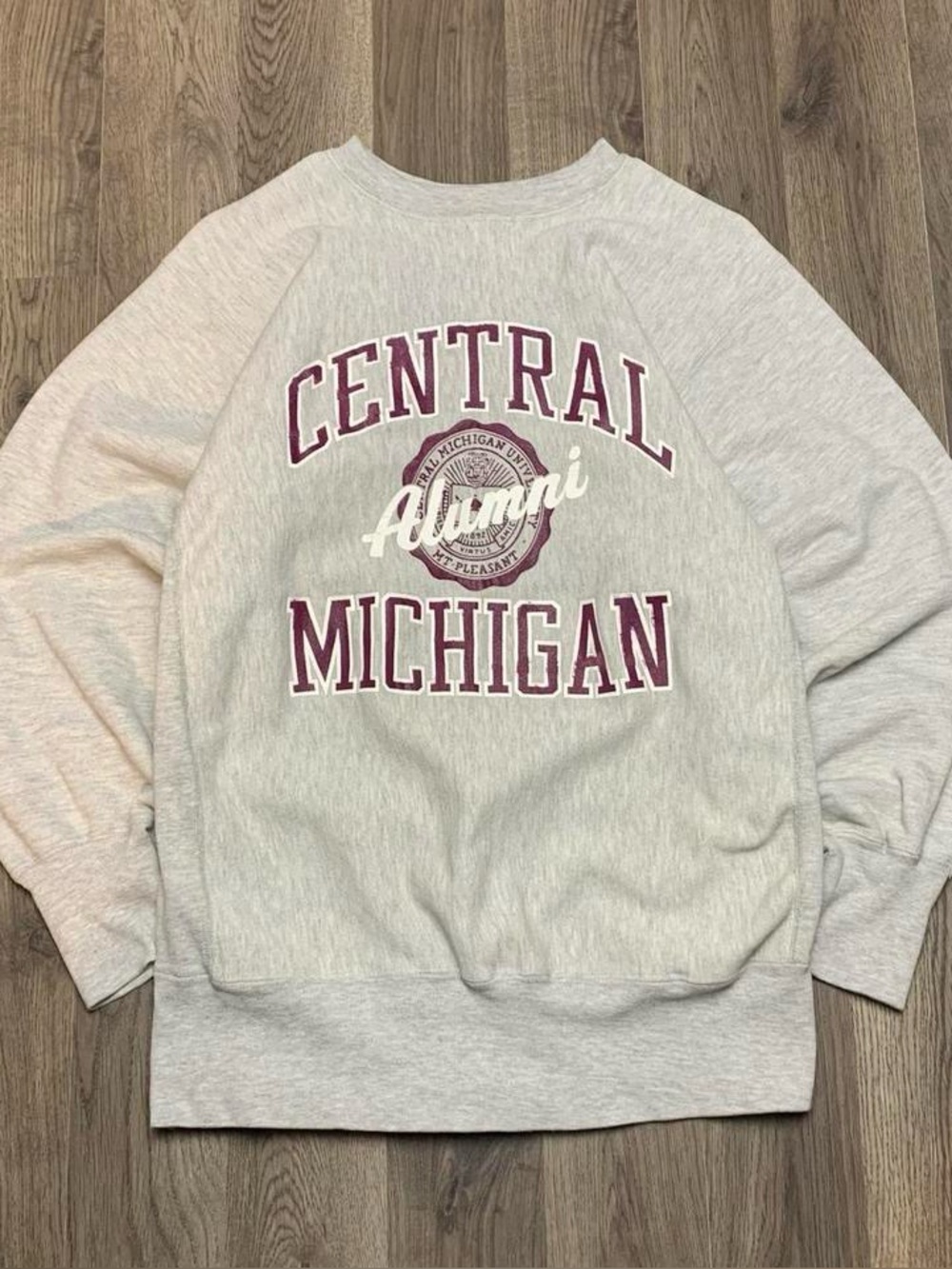 Vintage 1990s Central Michigan Champion Reverse Weave Crewneck